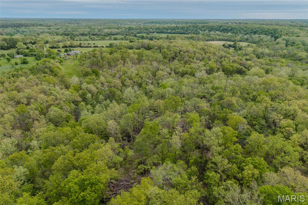 81 Indian Crk Loop Buffalo, MO 65622 - Photo 29 of 39