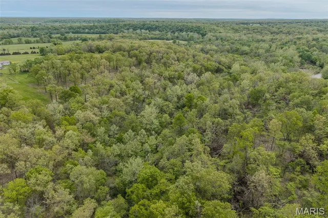 $120,000 | 81 Indian Crk Loop, Buffalo, MO 65622