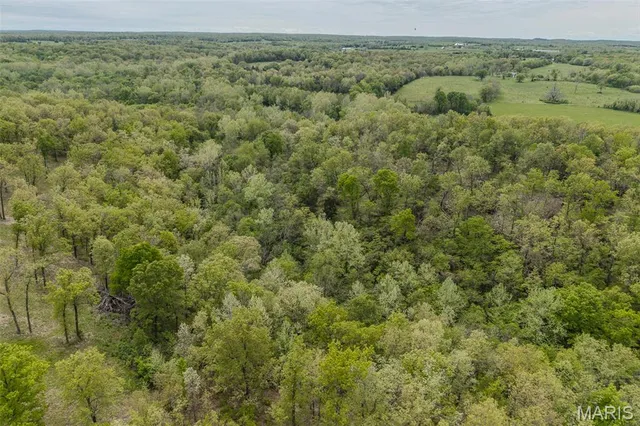 $120,000 | 81 Indian Crk Loop, Buffalo, MO 65622