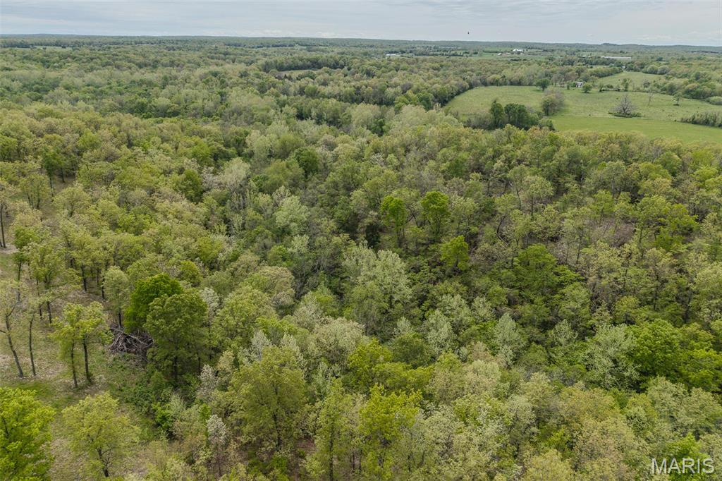 81 Indian Crk Loop Buffalo, MO 65622 - Photo 31 of 39