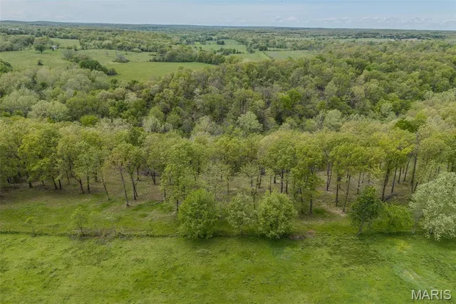 $120,000 | 81 Indian Crk Loop, Buffalo, MO 65622