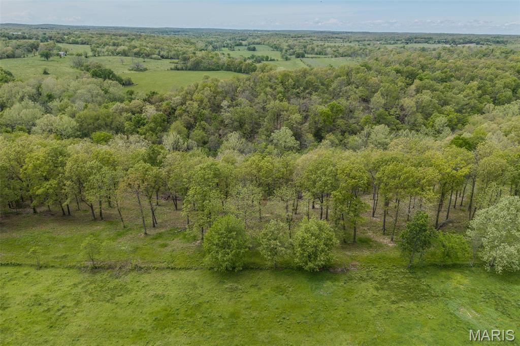 81 Indian Crk Loop Buffalo, MO 65622 - Photo 33 of 39