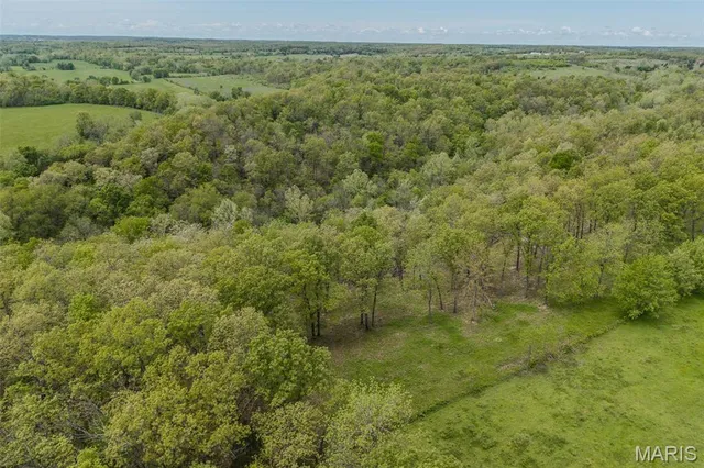 $120,000 | 81 Indian Crk Loop, Buffalo, MO 65622