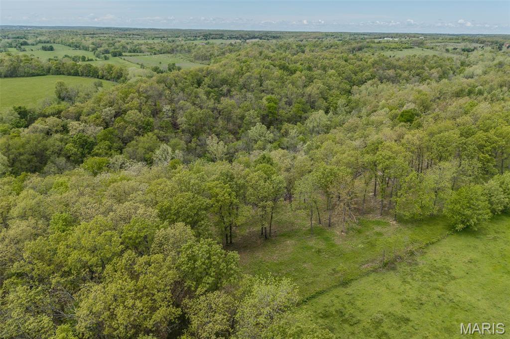 81 Indian Crk Loop Buffalo, MO 65622 - Photo 34 of 39