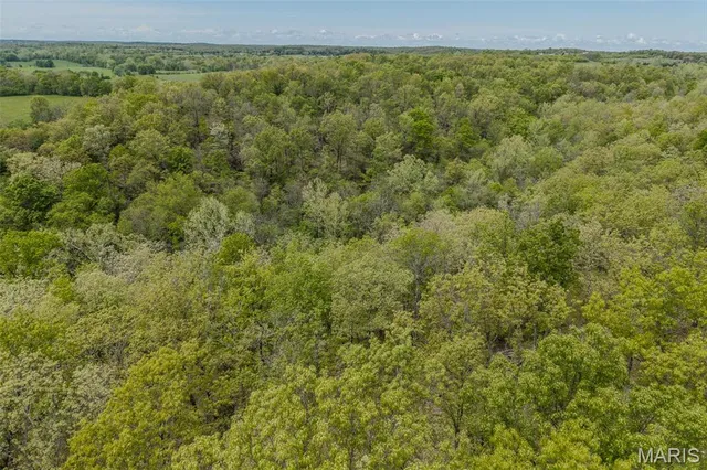 $120,000 | 81 Indian Crk Loop, Buffalo, MO 65622