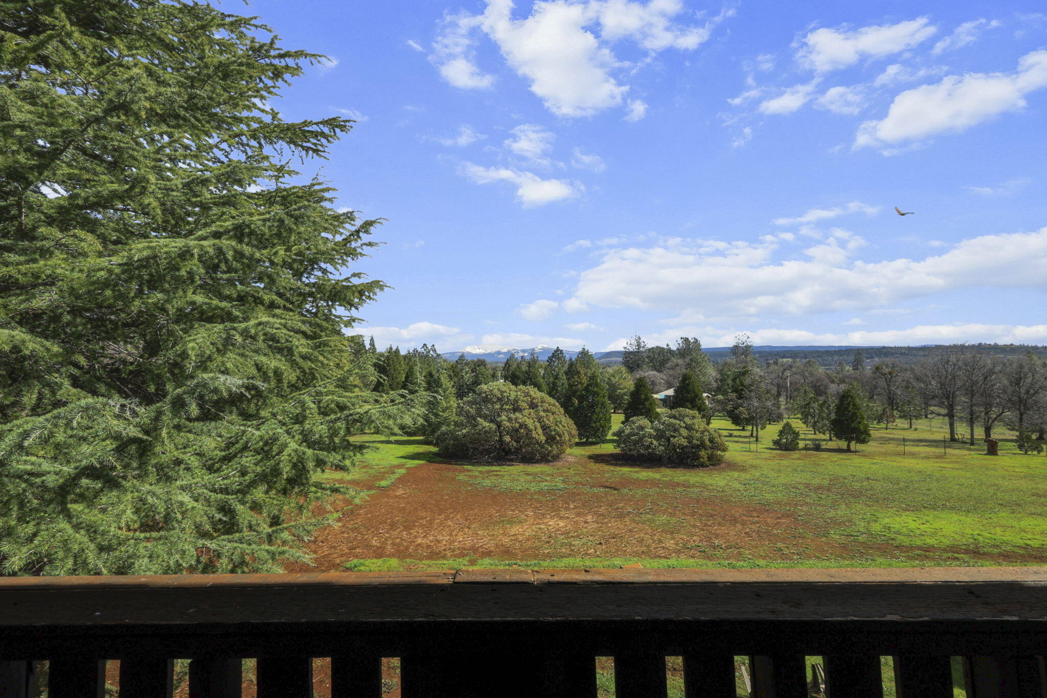 5040 Wilson Hill Road Manton, CA 96059 - Photo 21 of 37 a view of a yard with an outdoor seating