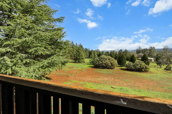 a view of a yard with an outdoor space