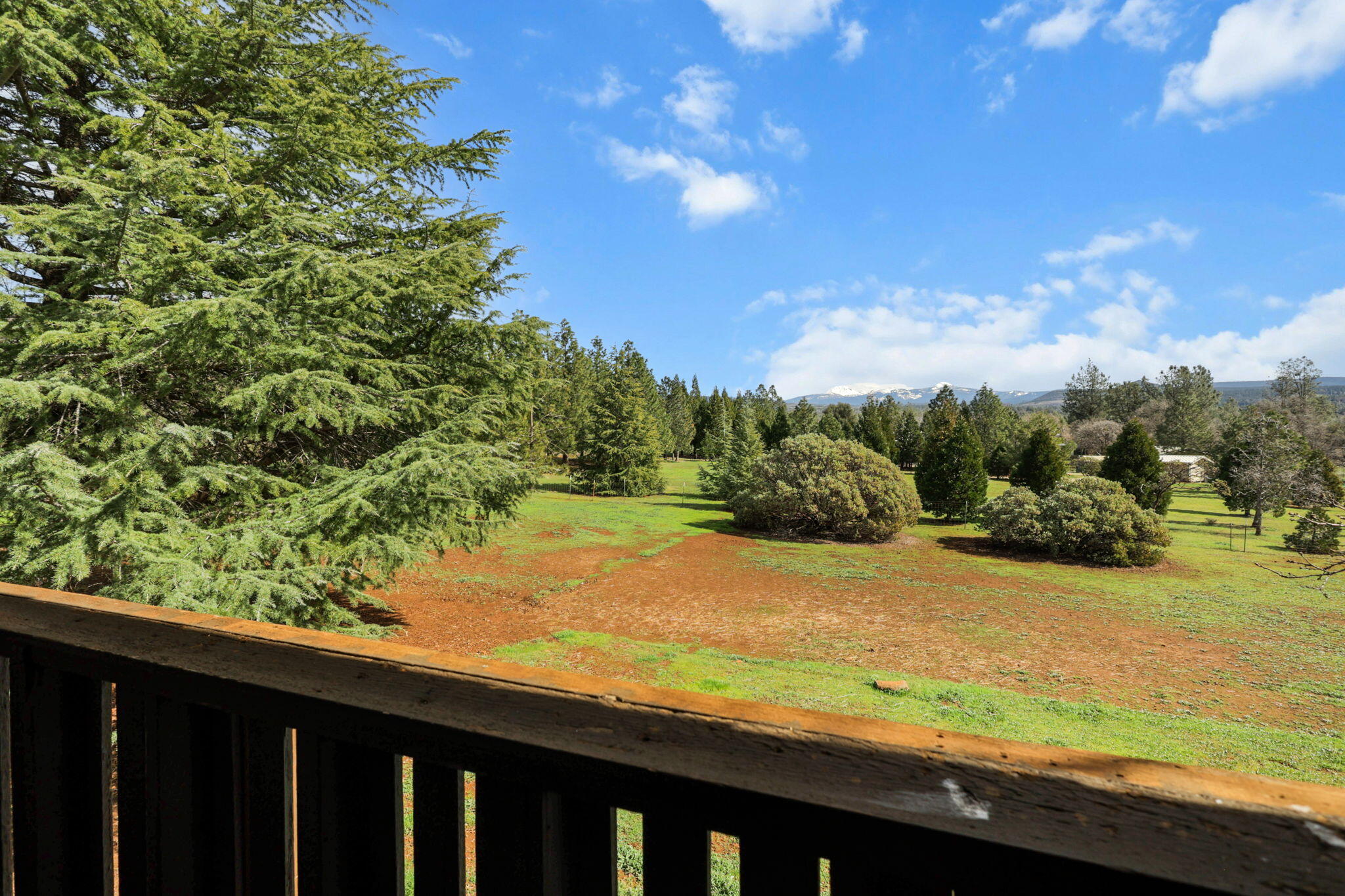 5040 Wilson Hill Road Manton, CA 96059 - Photo 23 of 37 a view of a yard with an outdoor space