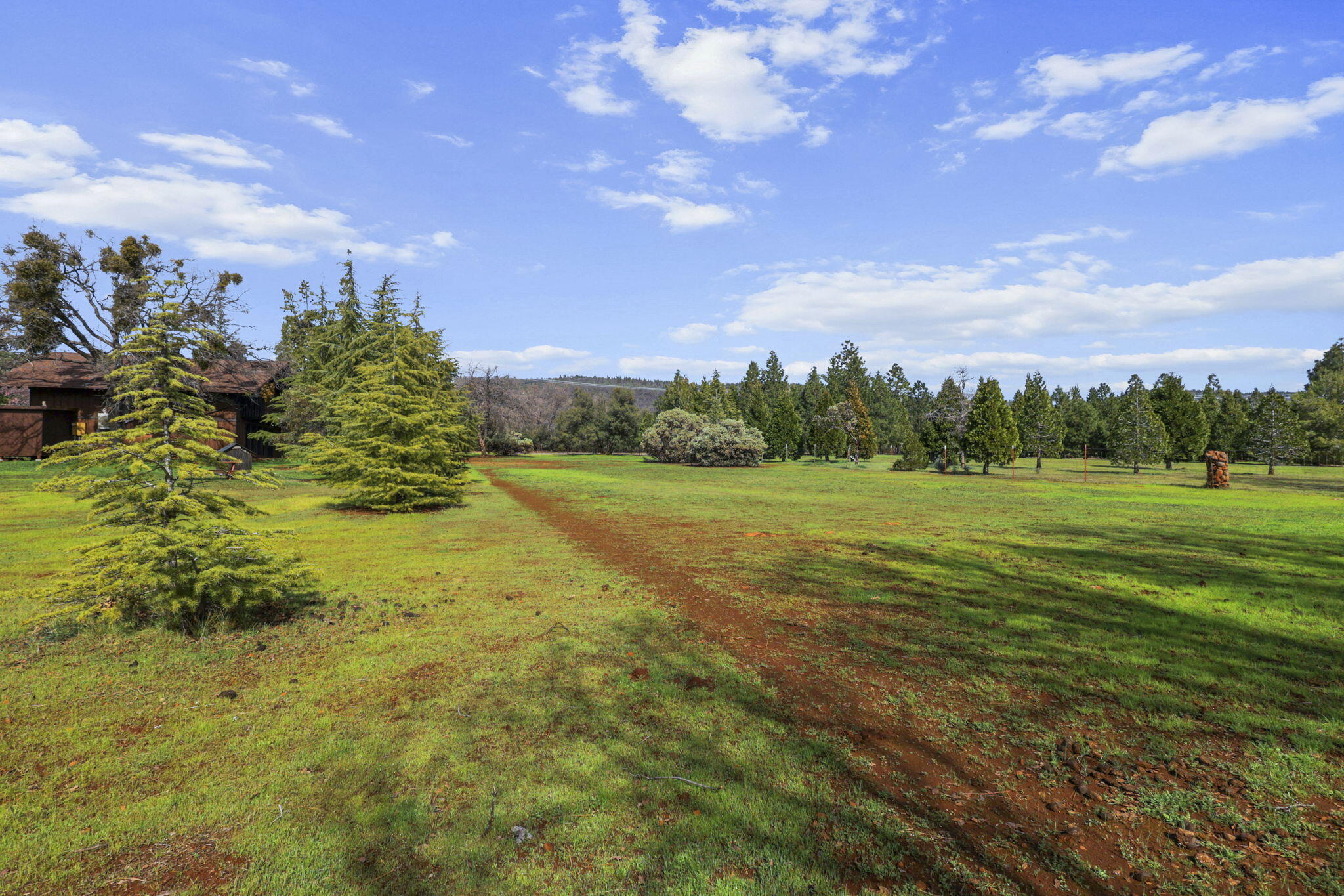 5040 Wilson Hill Road Manton, CA 96059 - Photo 27 of 37 a view of a big yard with large trees