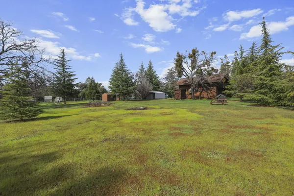 a view of a green field