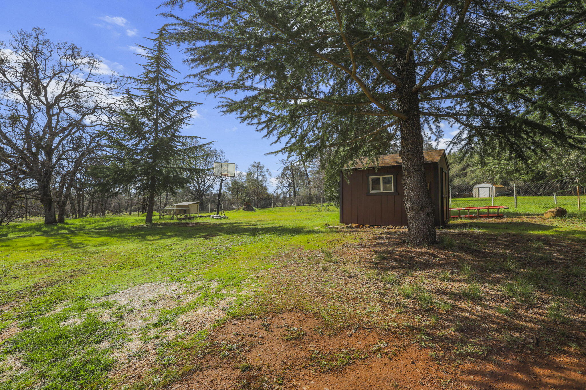 5040 Wilson Hill Road Manton, CA 96059 - Photo 30 of 37 a view of a house with yard and tree s