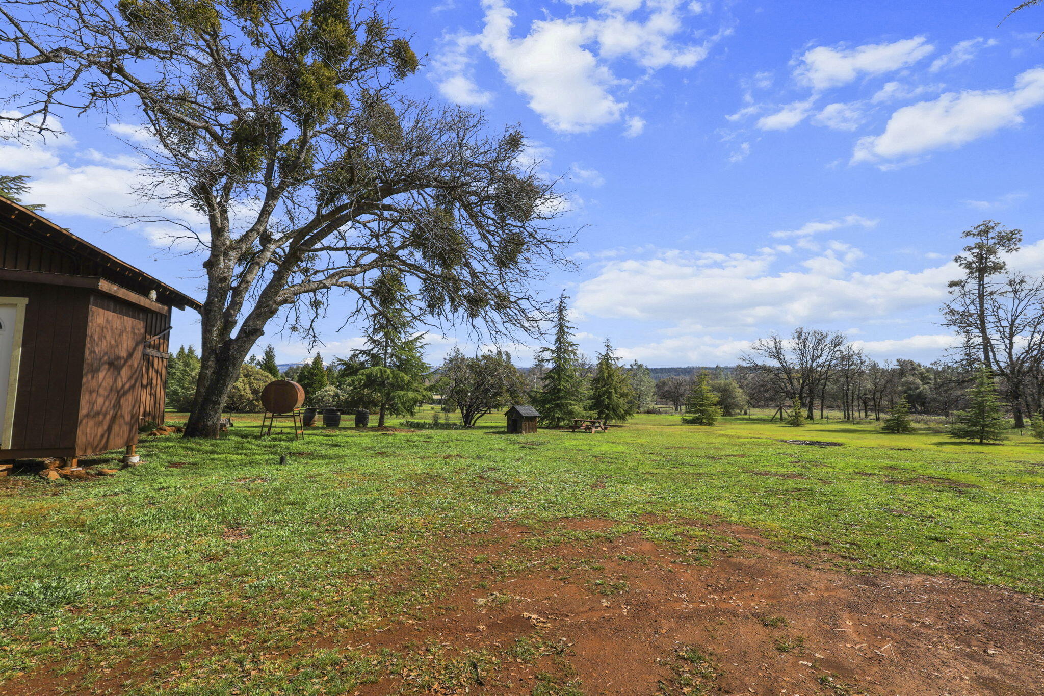 5040 Wilson Hill Road Manton, CA 96059 - Photo 31 of 37 a view of a field with a tree