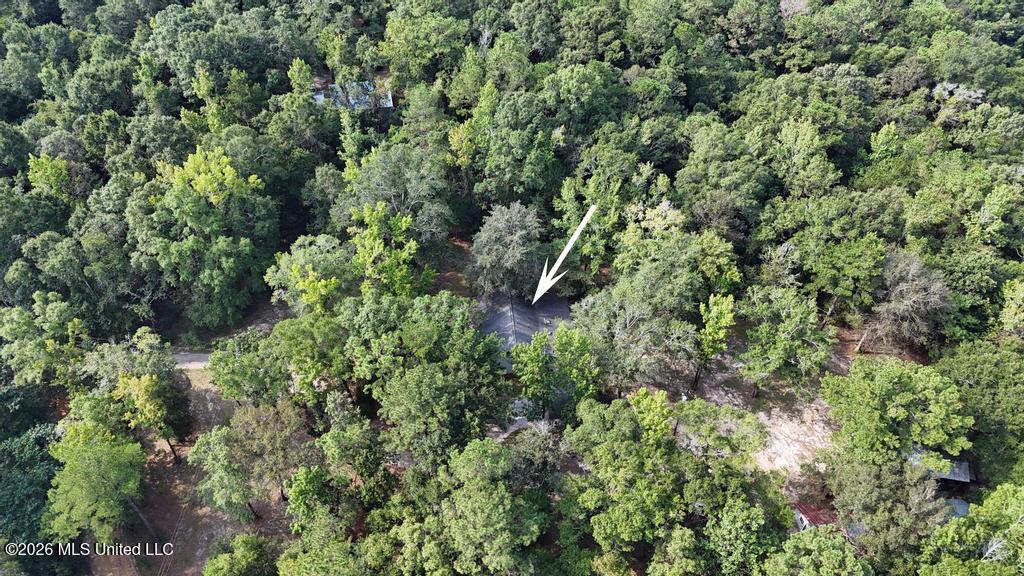 20901 Busby Road Vancleave, MS 39565 - Photo 37 of 37 040