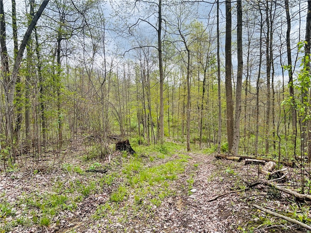 Auburn Road Newbury, OH 44065 - Photo 10 of 35