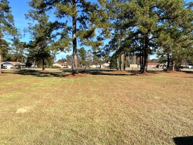 1554 Brown Road Hephzibah, GA 30815 - Photo 4 of 28 b11