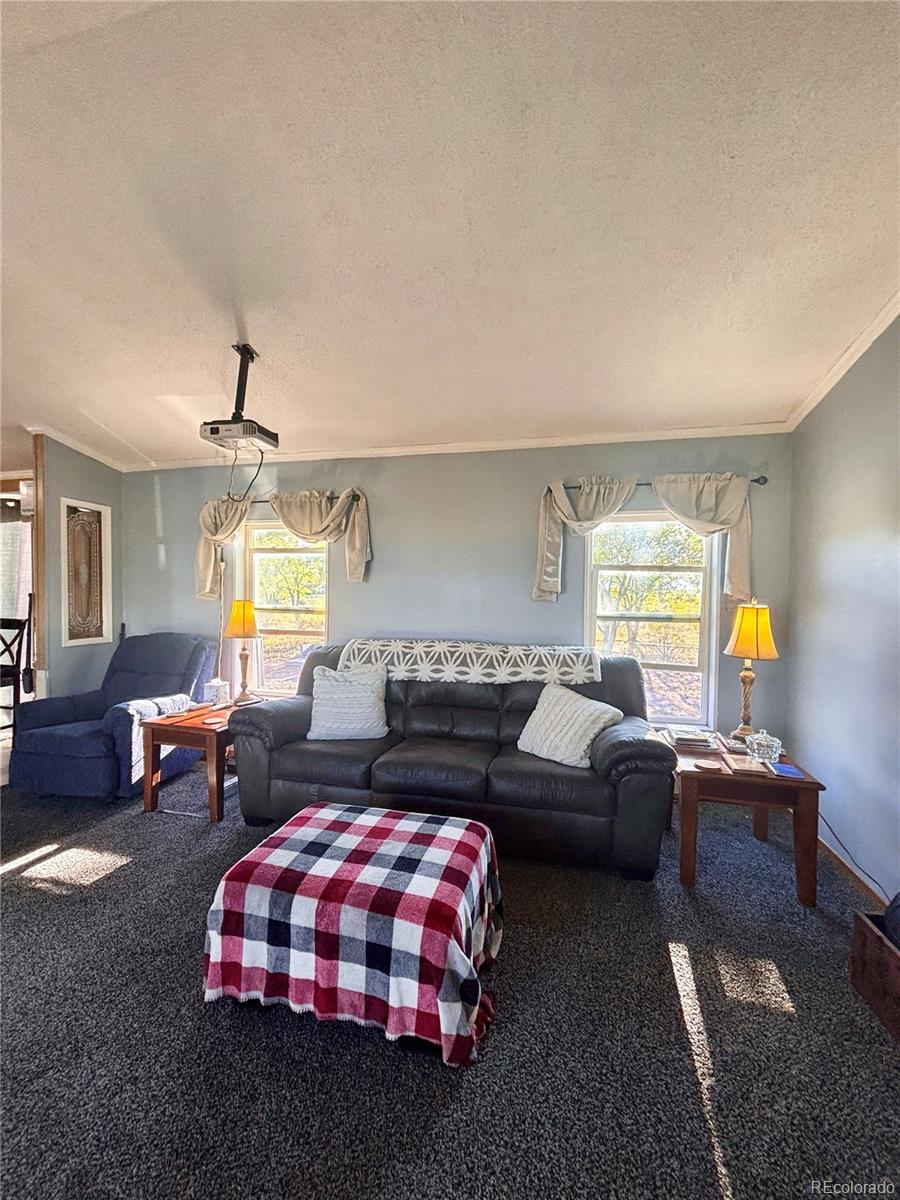 10075 Ln 1 North Mosca, CO 81146 - Photo 4 of 50