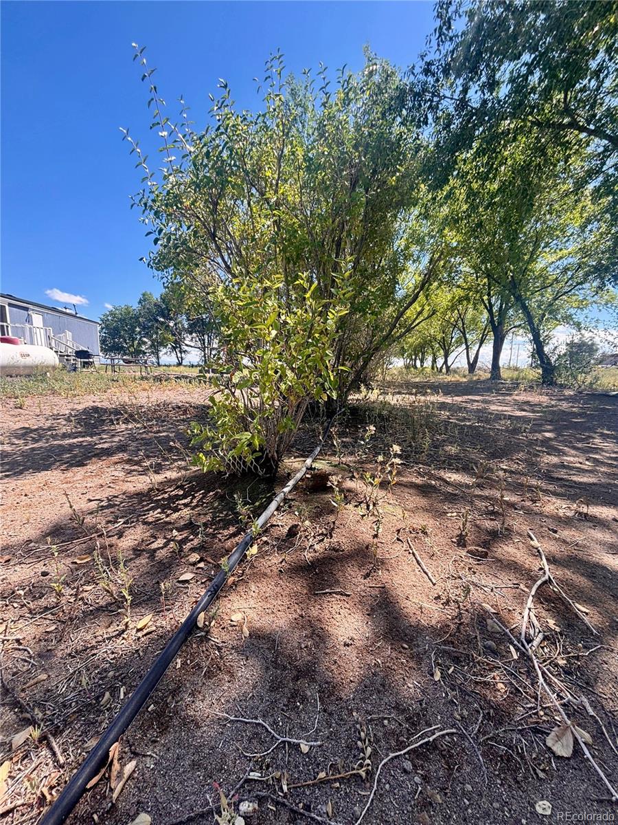 10075 Ln 1 North Mosca, CO 81146 - Photo 46 of 50