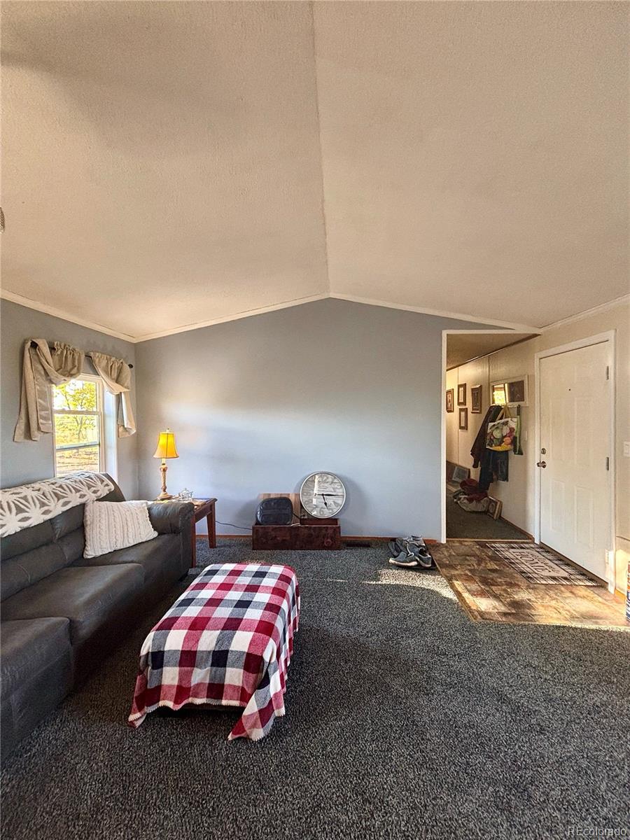 10075 Ln 1 North Mosca, CO 81146 - Photo 5 of 50