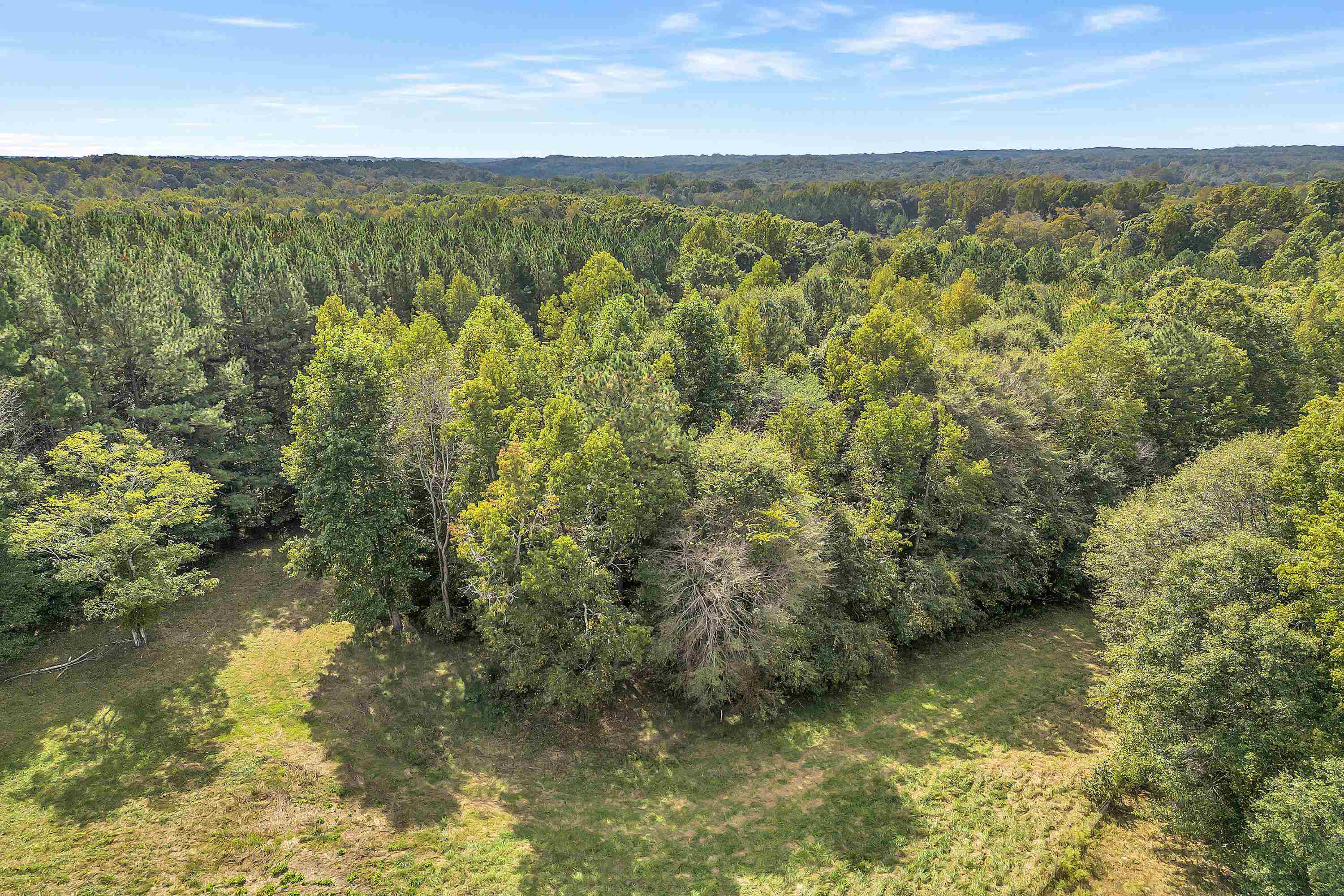 0 Pearson Town Road Moore, SC 29369 - Photo 11 of 14