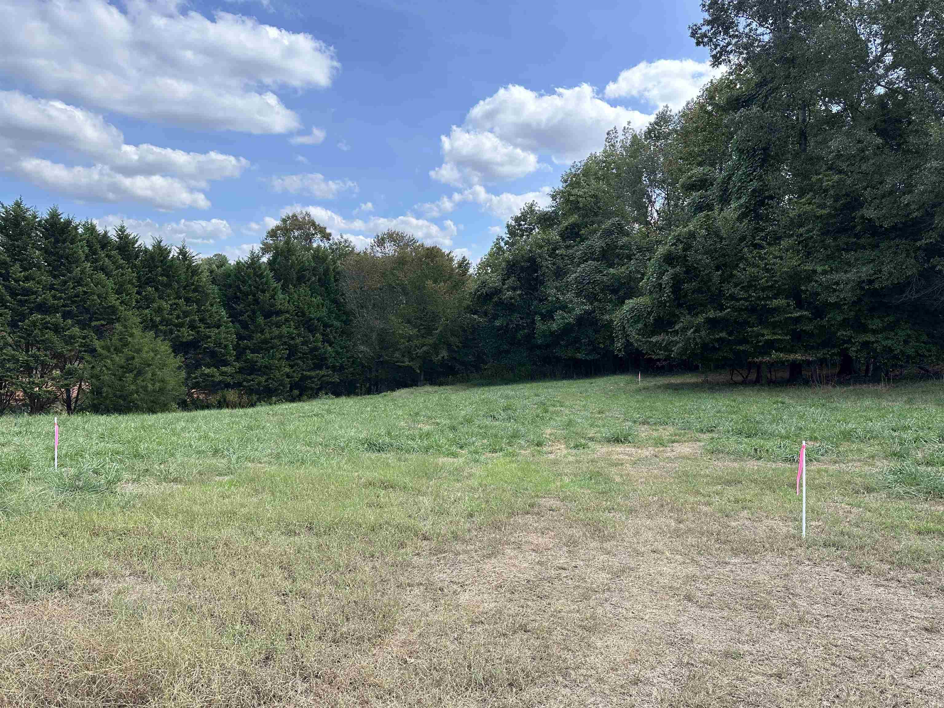 0 Pearson Town Road Moore, SC 29369 - Photo 5 of 14