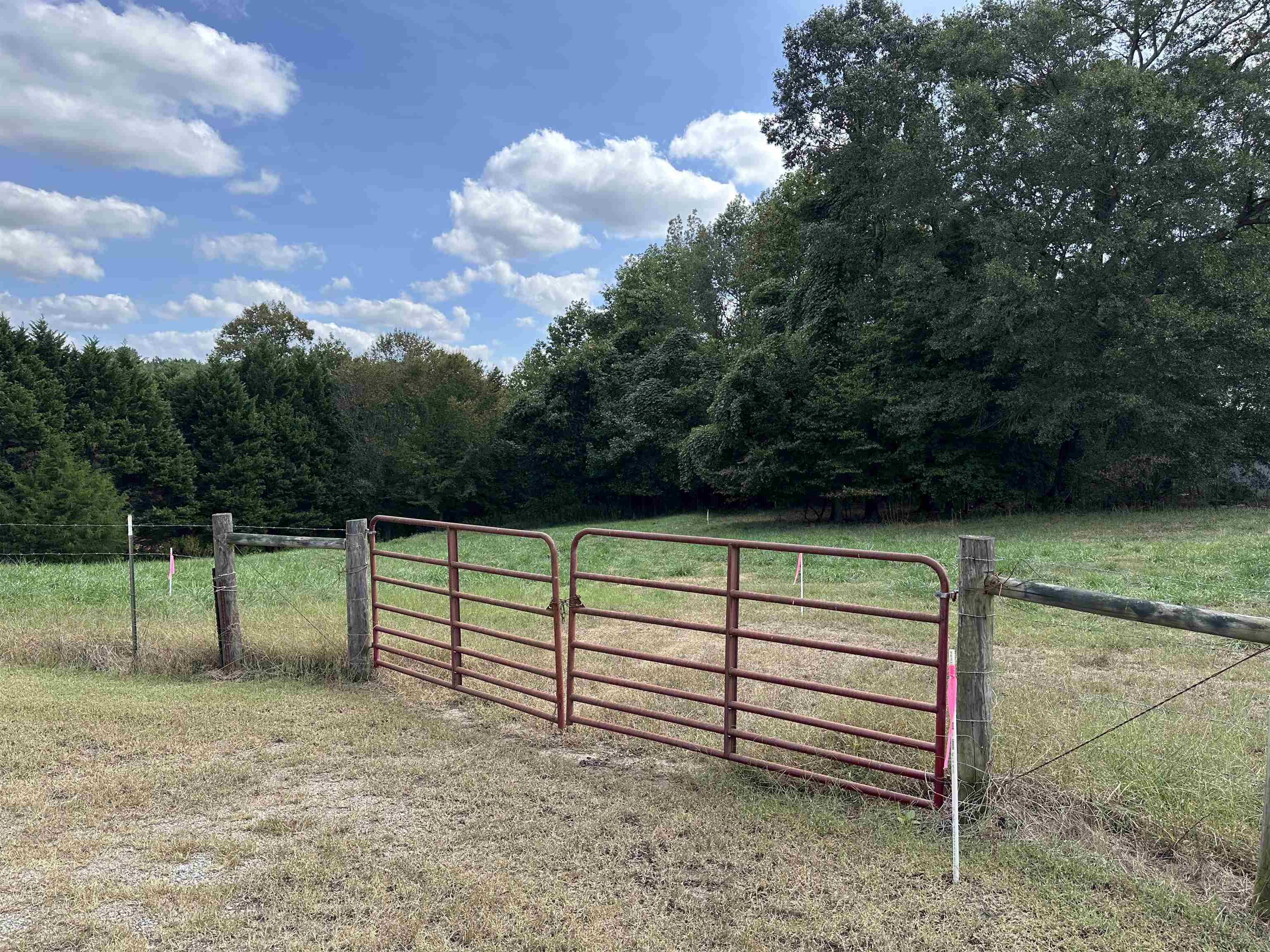 0 Pearson Town Road Moore, SC 29369 - Photo 7 of 14