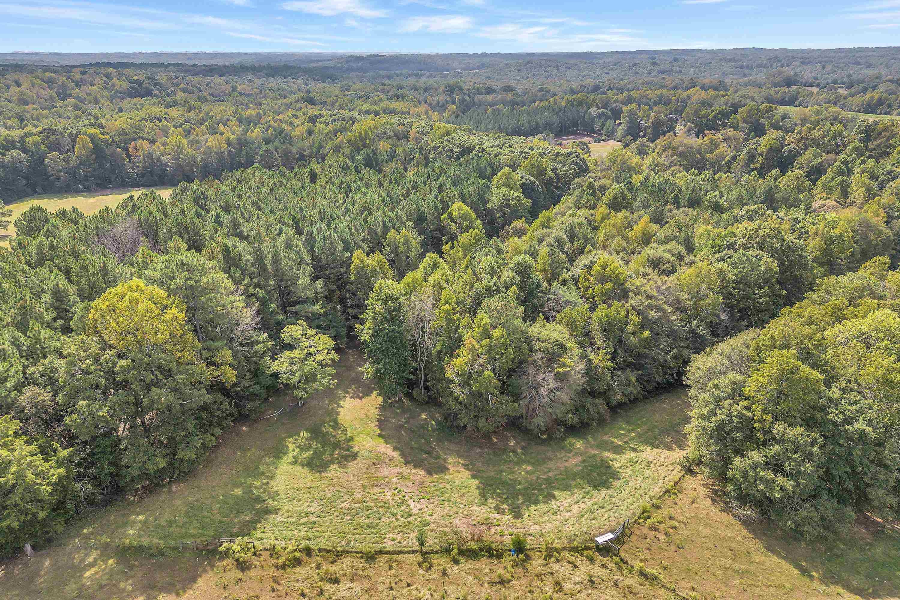 0 Pearson Town Road Moore, SC 29369 - Photo 10 of 14