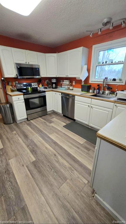 7880 North Nicholson Road Fowlerville, MI 48836 - Photo 3 of 13
