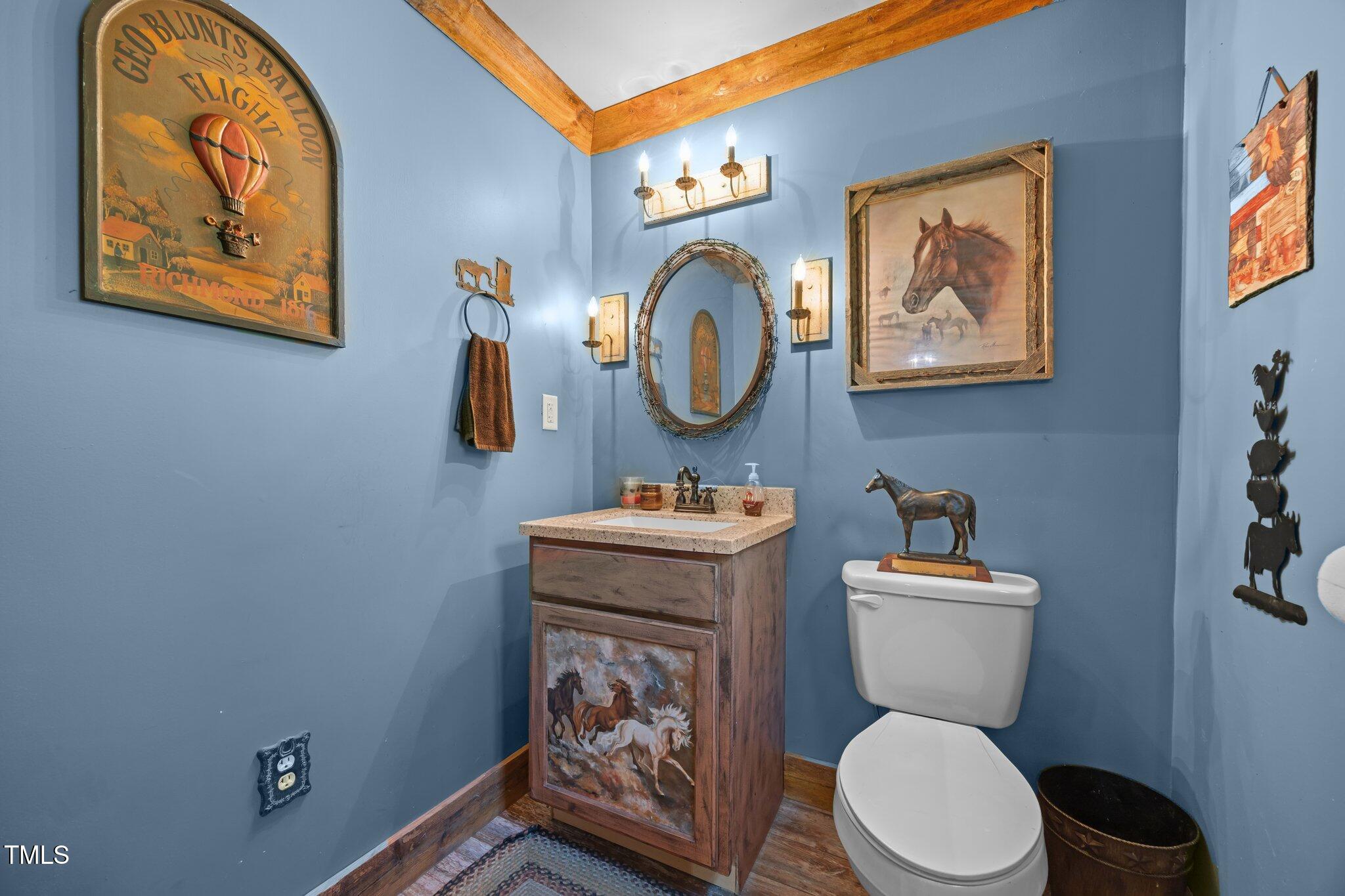 4050 Culbreth Road Stem, NC 27581 - Photo 40 of 46 a bathroom with a toilet a sink and a mirror