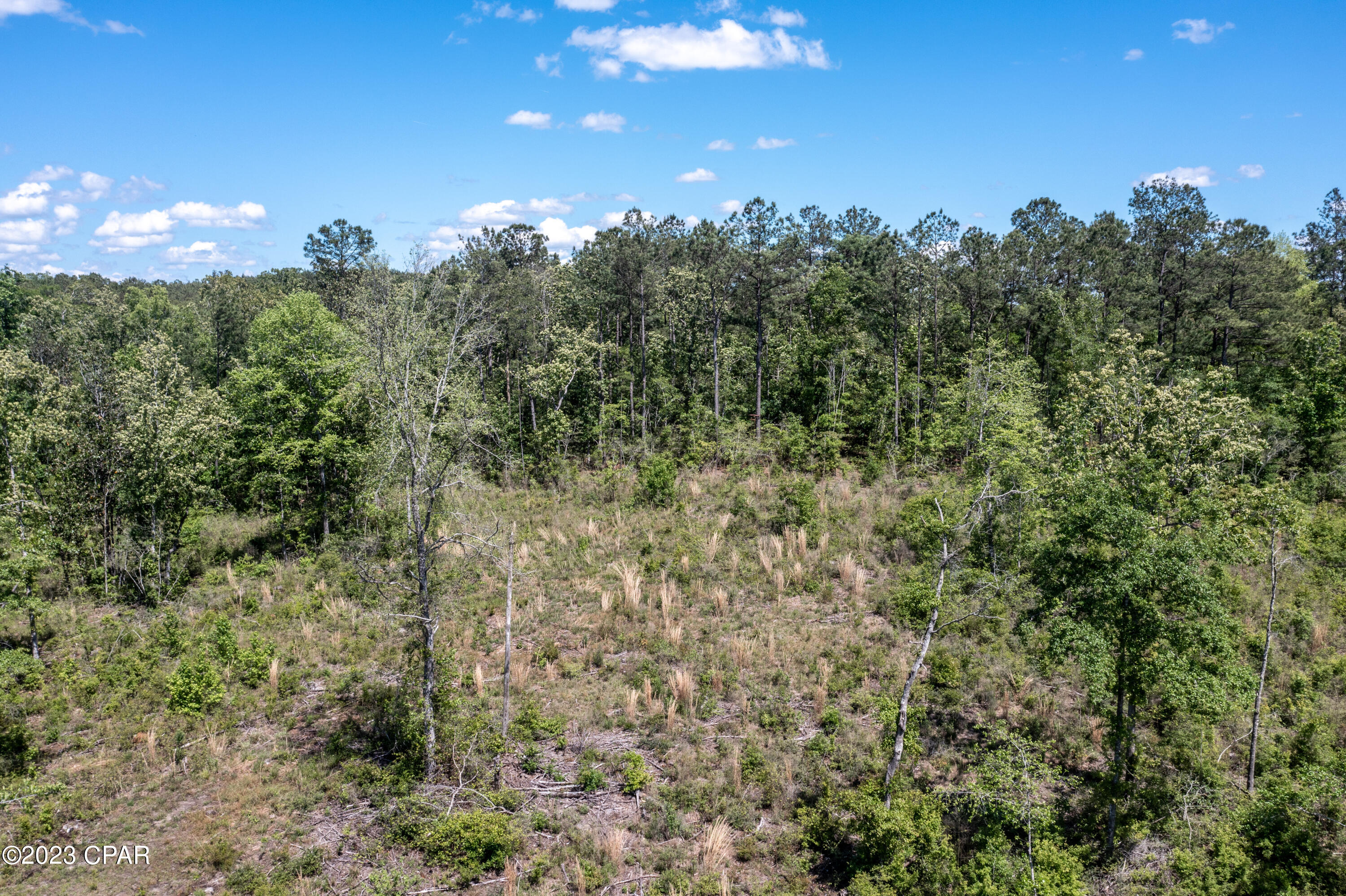0 Pioneer Road Chipley, FL 32428 - Photo 9 of 29