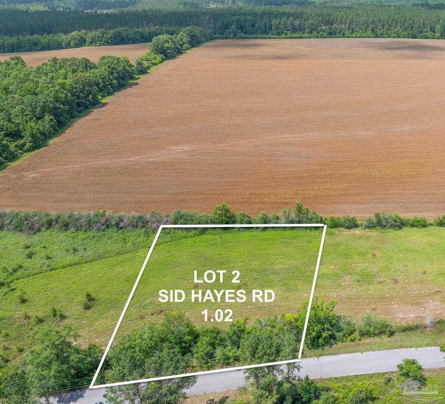 Lot 2 Sid Hayes Road Jay, FL 32565 - Photo 2 of 4 a view of a water pond with green field