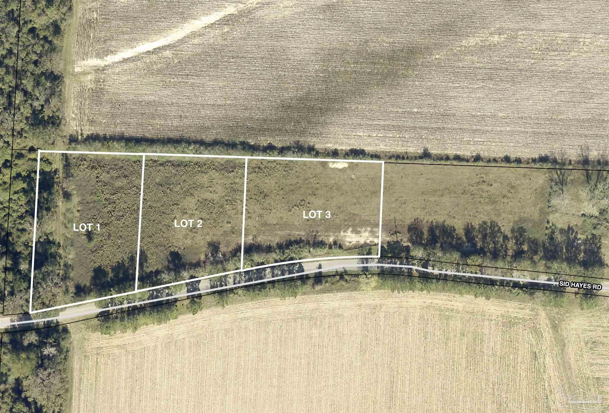 Lot 2 Sid Hayes Road Jay, FL 32565 - Photo 4 of 4 a view of a swimming pool