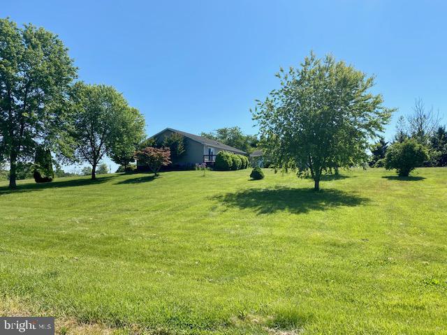 13374 Chestnut Fork Road Culpeper, VA 22701 - Photo 42 of 46 Gallery Image 42