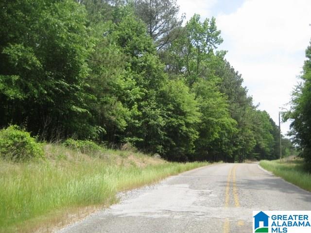 0 Sulphur Springs Road, Unit 10 ACRES Lincoln, AL 35096 - Photo 11 of 32