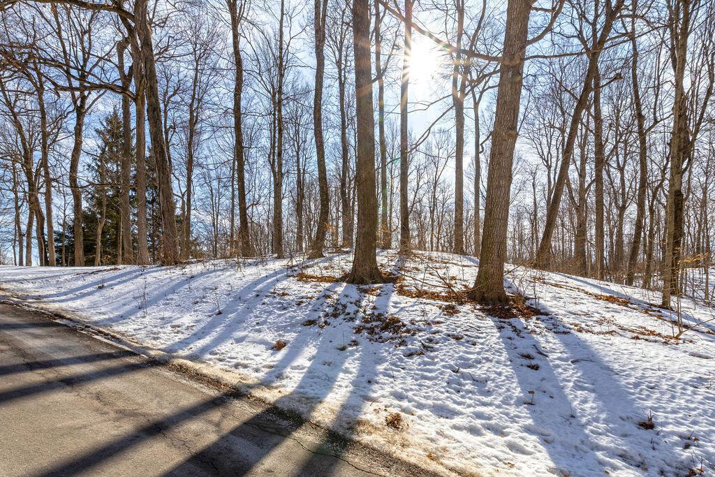 0 Eaglenest Road West Liberty, OH 43357 - Photo 5 of 45