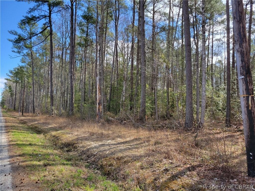 0 Lime House Road Mattaponi, VA 23110 - Photo 2 of 3