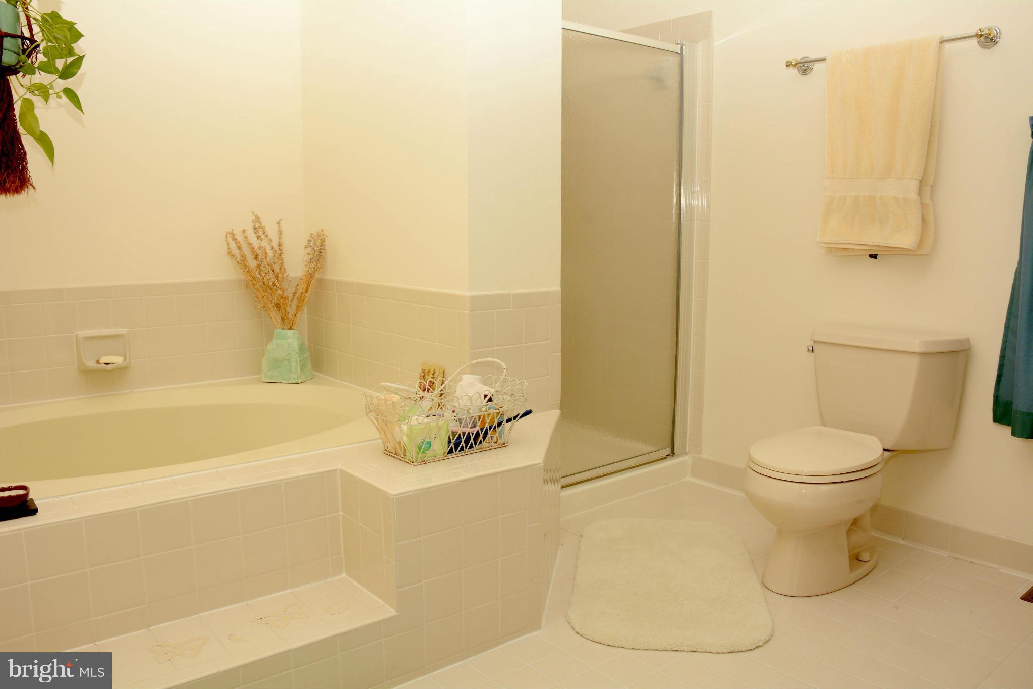 305 Riding Ridge Road Annapolis, MD 21403 - Photo 17 of 29 a bathroom with a toilet and shower