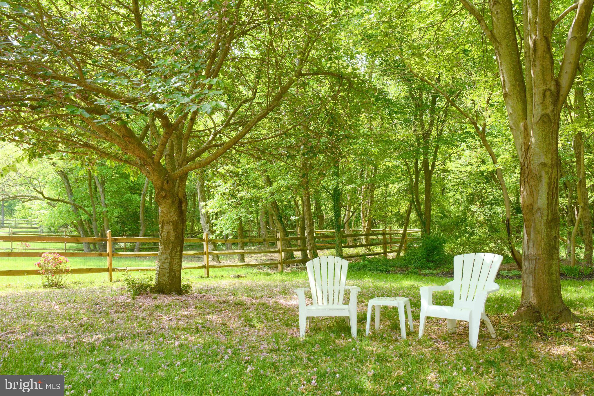 305 Riding Ridge Road Annapolis, MD 21403 - Photo 18 of 29 a view of a chair and table on the garden