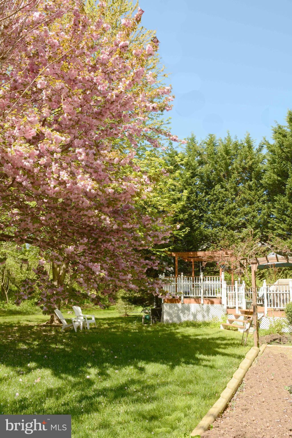 305 Riding Ridge Road Annapolis, MD 21403 - Photo 21 of 29 a view of building with outdoor space