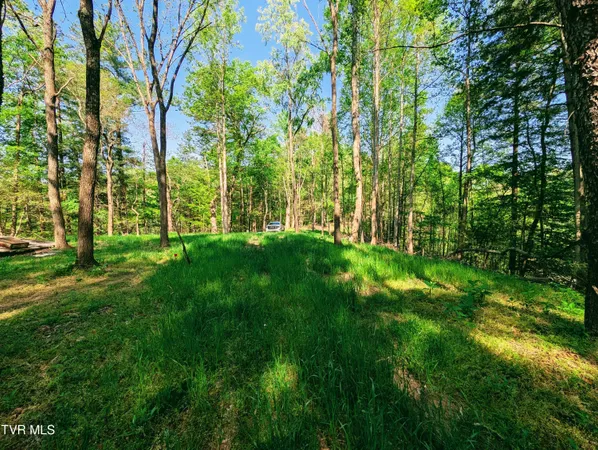 $80,000 | Tbd Leaf Ridge, Clintwood, VA 24228