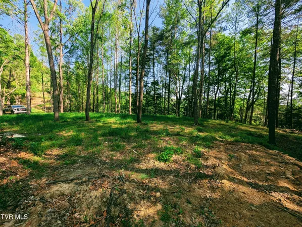 $80,000 | Tbd Leaf Ridge, Clintwood, VA 24228