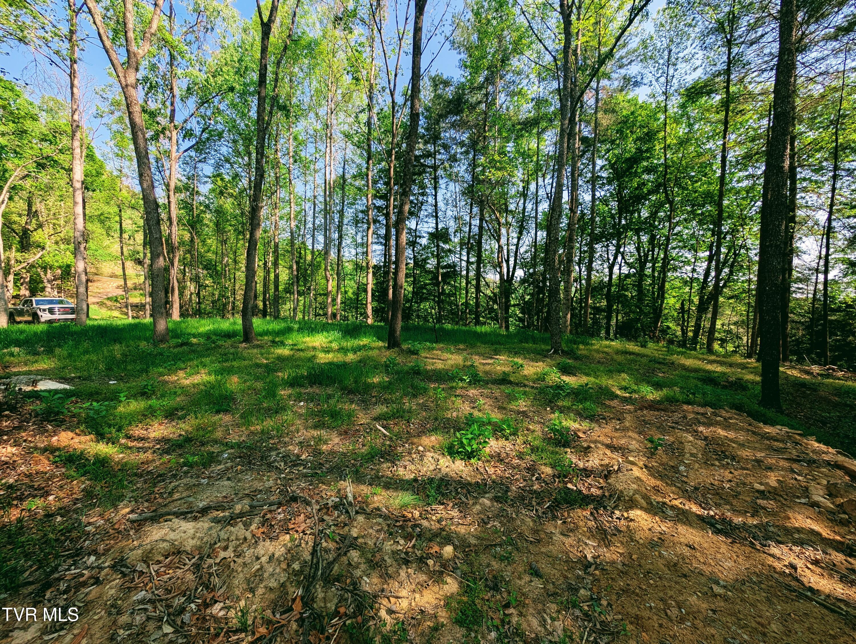 Tbd Leaf Ridge Clintwood, VA 24228 - Photo 2 of 6 1000021367