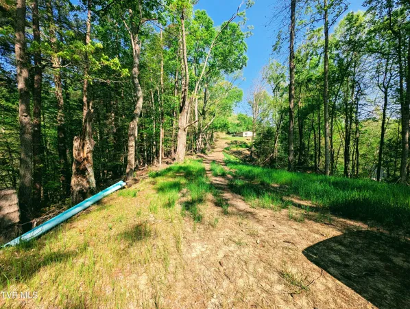 $80,000 | Tbd Leaf Ridge, Clintwood, VA 24228