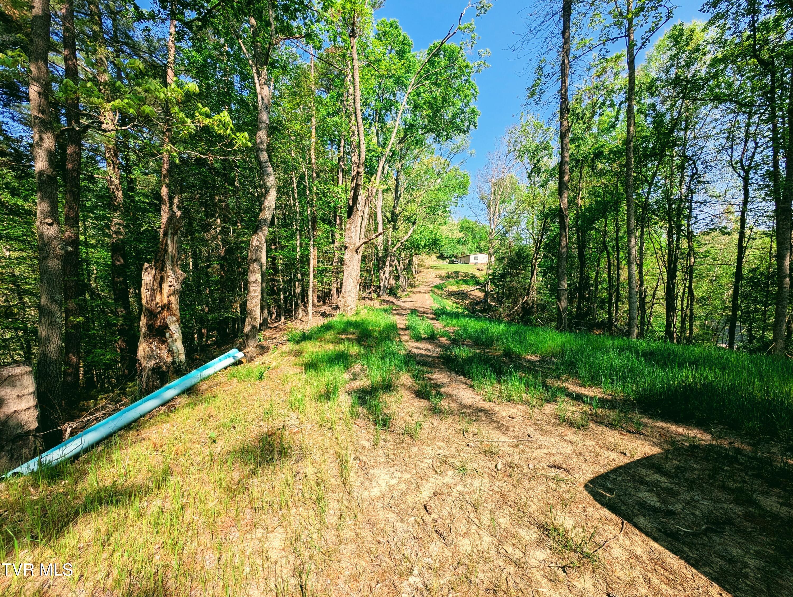 Tbd Leaf Ridge Clintwood, VA 24228 - Photo 3 of 6 1000021370