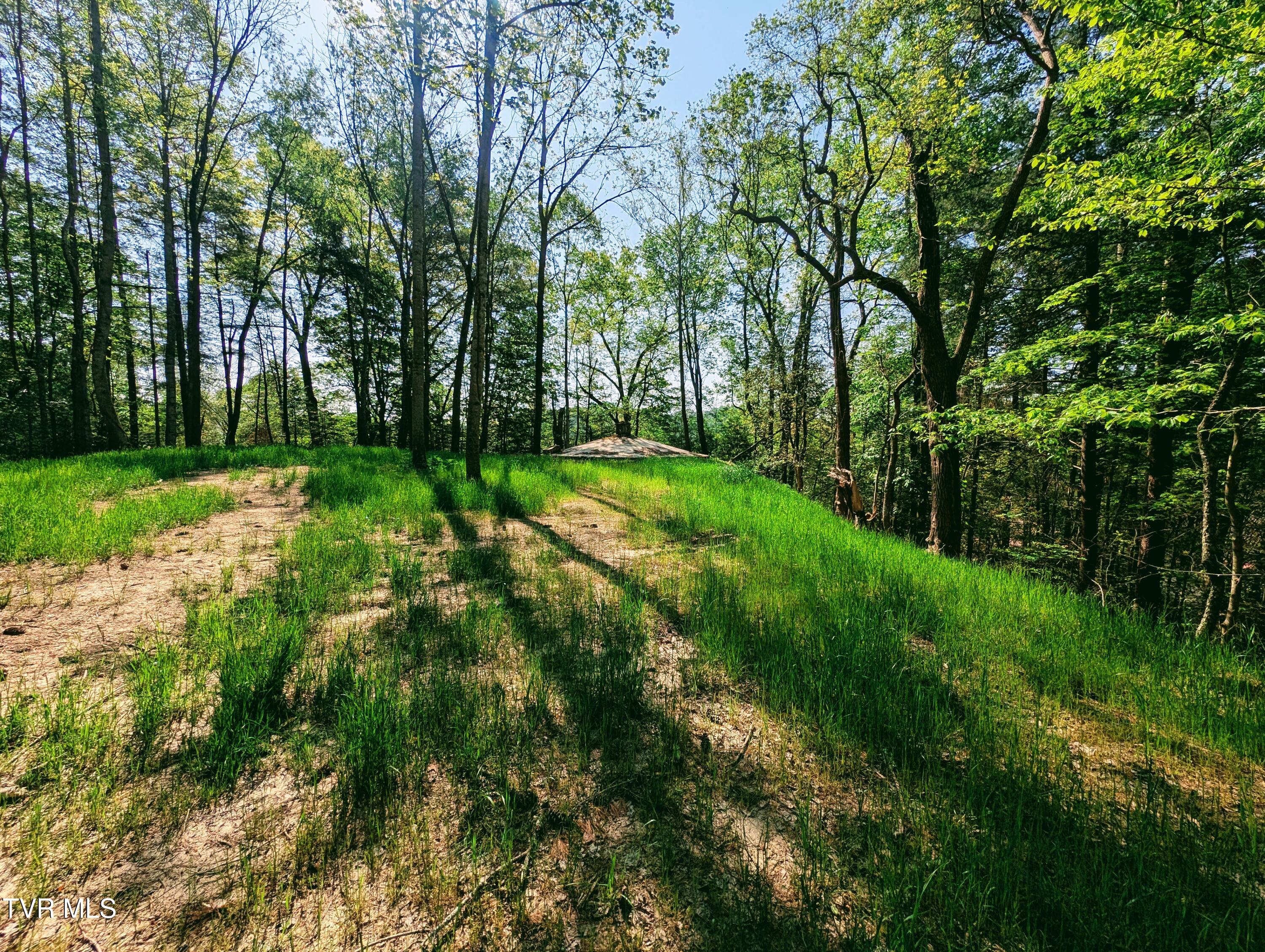Tbd Leaf Ridge Clintwood, VA 24228 - Photo 4 of 6 1000021371