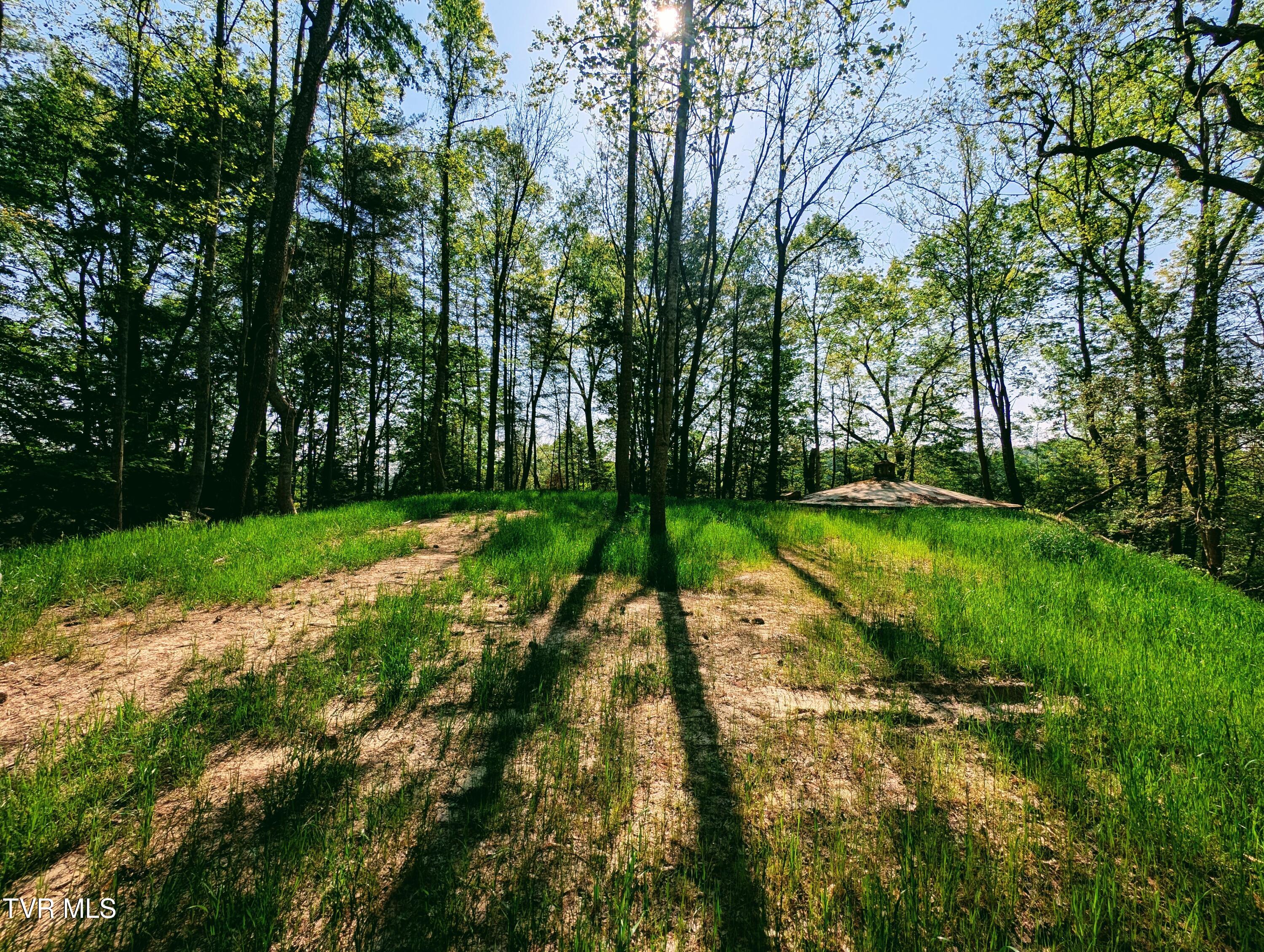 Tbd Leaf Ridge Clintwood, VA 24228 - Photo 5 of 6 1000021372