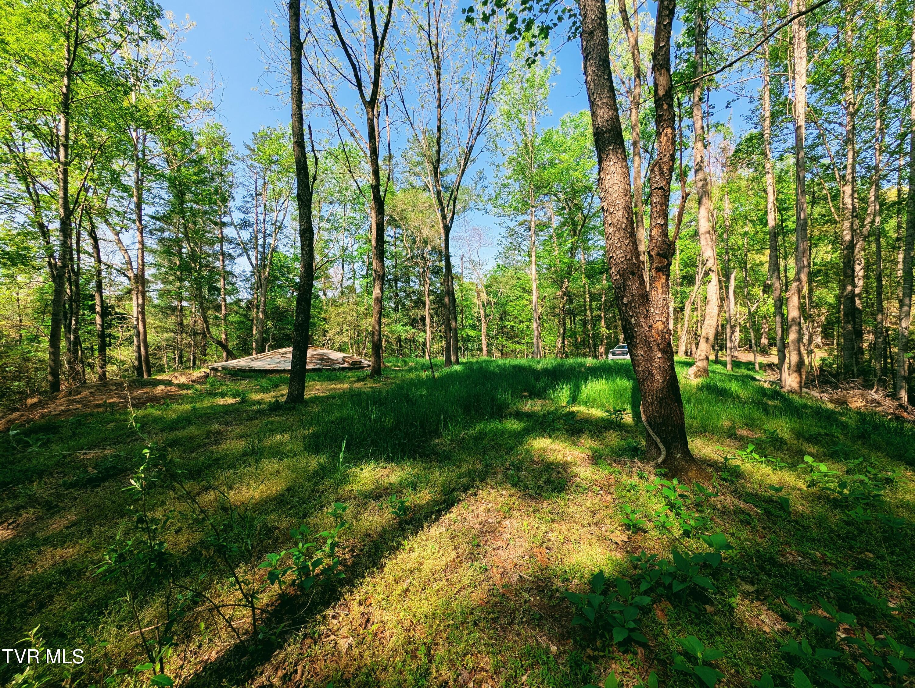 Tbd Leaf Ridge Clintwood, VA 24228 - Photo 6 of 6 1000021369