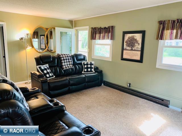 712 South 10th Street Virginia, MN 55792 - Photo 10 of 24