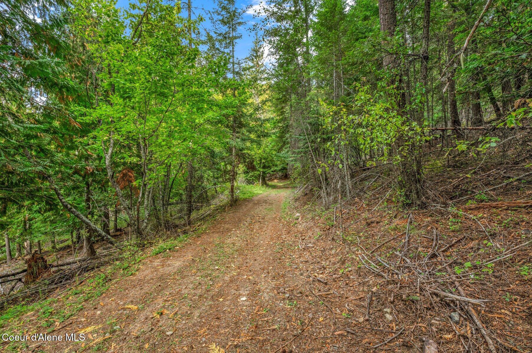 818 Silver Creek Road Clark Fork, ID 83811 - Photo 42 of 45 Nice path