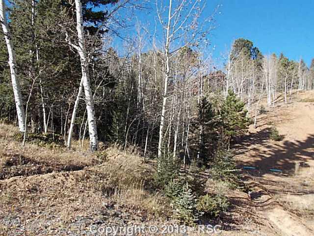 181 Anderson Road Florissant, CO 80816 - Photo 15 of 17 Gallery Image 15
