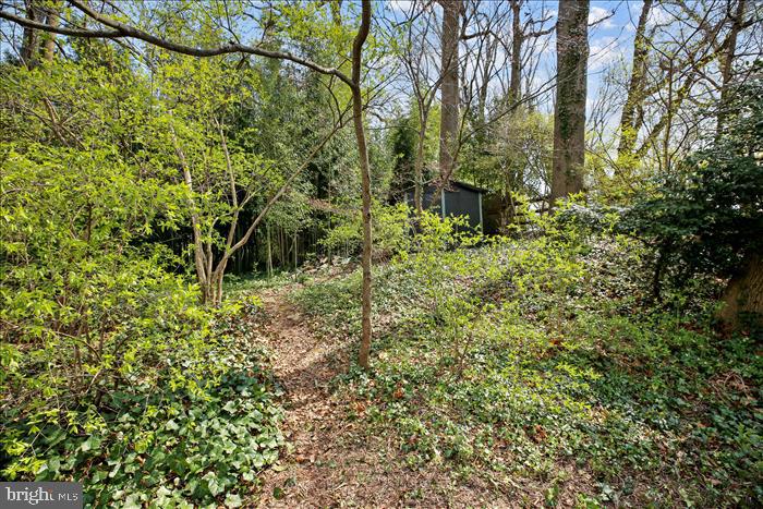 5802 Conway Road Bethesda, MD 20817 - Photo 59 of 100 Gallery Image 59